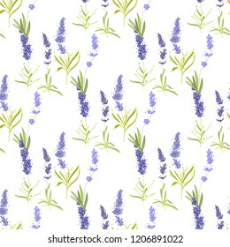 Floral seamless with lavender greenery. Vector watercolor vintage sketch. Botanical colorful illustration on white background. Pattern or card design.