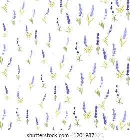 Floral seamless with lavender herbs. Vector watercolor vintage sketch. Botanical colorful illustration on white background. Pattern or card design.