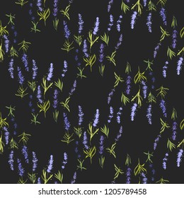 Floral seamless with lavender herbs. Vector watercolor vintage sketch. Botanical colorful illustration on black background. Pattern or card design.
