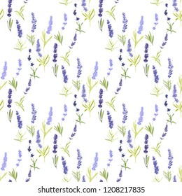 Floral seamless with lavender herbs. Vector watercolor vintage sketch. Botanical colorful illustration on white background. Pattern or card design.