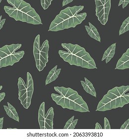 Floral seamless pattern, Alocasia  plant, palm leaves on black background.