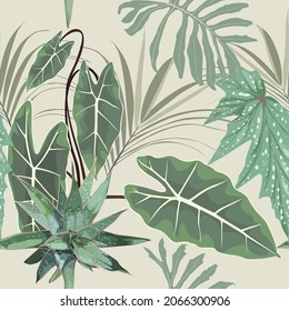 Floral seamless pattern, Alocasia  plant, green palm leaves on vintage background.