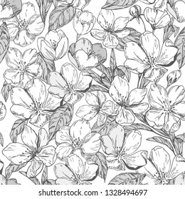 Floral seamless pattern with apple blossoms. Vector