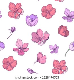 Floral seamless pattern with apple blossoms. Vector
