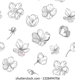 Floral seamless pattern with apple blossoms. Vector