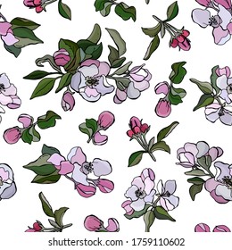 Patrón floral sin fisuras. Árbol de manzanas: flores y brotes. Fondo blanco, aislado. Ilustración bursátil. Diseño de papel pintado, tela, textil, embalaje.