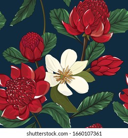 floral seamless pattern of australia native plant, hand drawn red waratah and white queen magnolia on navy background