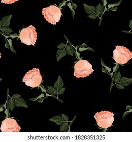 Floral seamless pattern, background design: garden peach, creamy, orange Rose, green leaves. Watercolor elegant, cute illustration. Black background.