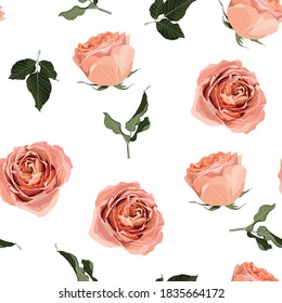 Floral seamless pattern, background design: garden peach, creamy, orange Rose, green leaves. Watercolor elegant, cute illustration. White background.