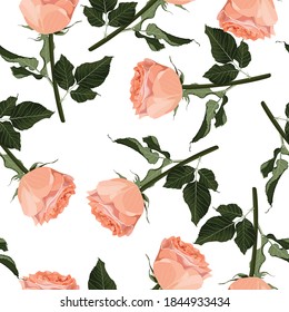 Floral seamless pattern, background design: garden peach, creamy, orange Rose, green leaves. Watercolor elegant, cute illustration. White background.