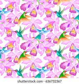 Floral seamless pattern with birds on white background. Hummingbird flying near exotic orchid flowers in bloom.