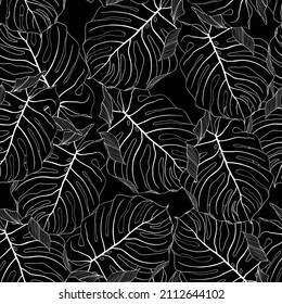 Floral seamless pattern, black line split-leaf Monstera plant background, line art ink drawing.