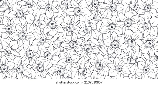 Floral seamless pattern with black outline daffodils on white background. Hand drawn sketch of narcissus flower buds. Lace spring vector for wedding design, greeting card, fabric, wallpaper print.
