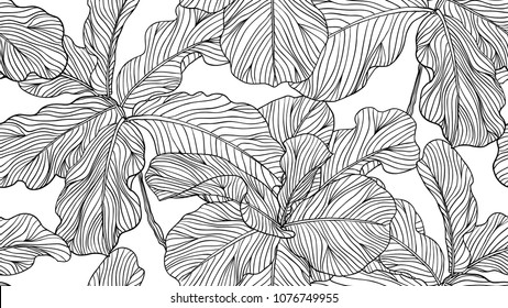 Floral Seamless Pattern, Black And White Fiddle Leaf Fig On White Background, Line Art Ink Drawing