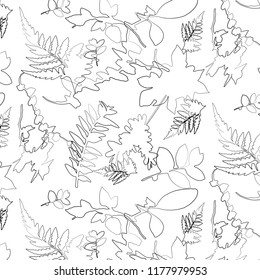 Floral seamless pattern, black and white. Contour, pattern.
