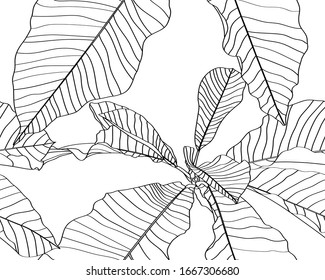 Floral seamless pattern, black and white magnolia leaf fig on white background, line drawing.