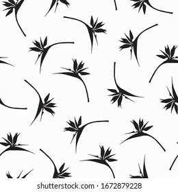 Floral seamless pattern, black and white vector. Bird of paradise flower (strelitzia) pattern. Minimalist pattern for background, textiles, wrapping paper. White background.