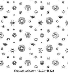 Floral seamless pattern. Black and white illustration, vector