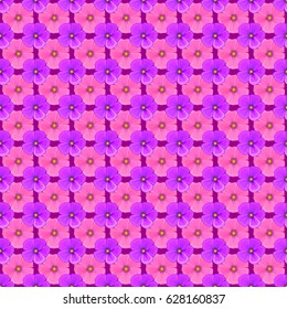 Floral seamless pattern with blooming cosmos flowers and leaves on a purple background. Stylish wallpaper with cosmos flowers. Abstract vector background.