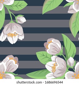 Floral seamless pattern with blooming jasmine flowers. Vector illustration with grey stripes on dark background.  Element for textile, fabric and other dsign decoration.