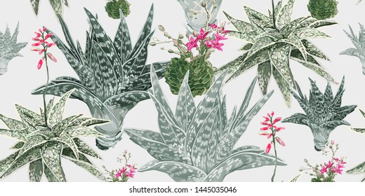 Floral seamless pattern with blooming plants of desert and tropics. Aloe and cacti. Exotic flowers on white background. Hand drawing. Vector illustration. Template for textiles, wallpaper, paper