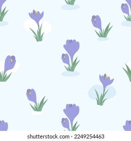 Floral seamless pattern. blooming spring flowers purple crocuses, saffron on light blue background. Vector illustration. Botanical pattern for decor, design, packaging, wallpaper, textile