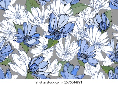 Floral seamless pattern with blue flowers chicory, leaves on gray background. Hand drawn. For your design, textile, wallpapers, print, greeting. Vintage style. Vector stock illustration.