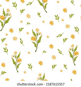 Floral Seamless Pattern. Botanical background with daisies and wildflowers. Perfect  for textiles, scrapbooking, clothing, wallpaper and prints. Vector cartoon illustration