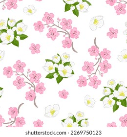 Floral seamless pattern with branches of cherry blossom and jasmine flowers isolated on white. Botanical spring background. Vector cartoon illustration of nature.