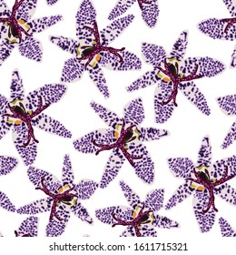 Floral seamless  pattern with bright orchids. Exotic flowers. Abstract background texture.