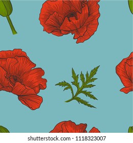 Floral seamless pattern of bright red poppies, bud and leaves on a blue  background vector.