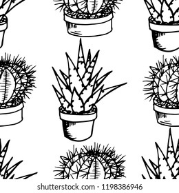floral seamless pattern cactus in a flower pot