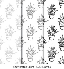 floral seamless pattern cactus in a flower pot