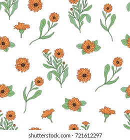 Floral seamless pattern with calendula plants and cut flower heads hand drawn in antique style on white background. Beautiful flowering herb. Natural vector illustration for wrapping paper, backdrop.