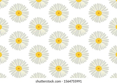 Floral seamless pattern with camomile