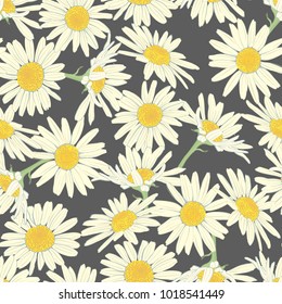 Floral seamless pattern with camomile. Cute white flowers. Summer concept. Design element for textile, fabrics, scrapbooking, wallpaper and etc. Vector illustration.