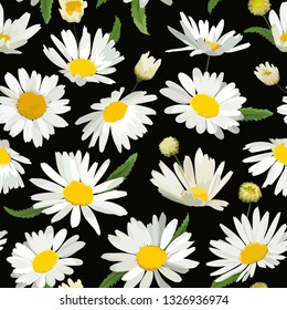 Floral Seamless Pattern with Chamomile Flowers. Natural Background with Daisy Flowers for Spring Summer Design Wallpaper, Decoration, Print. Vector illustration