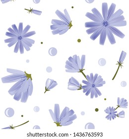 Floral seamless pattern with chicory flowers on white background. Cute blue flowers. Summer concept. Design element for textile, fabrics, scrapbooking, wallpapers. Vector illustration.