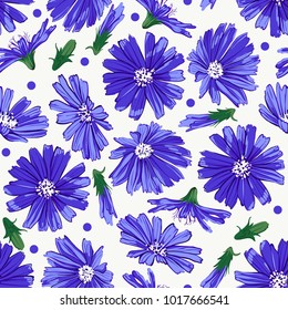 Floral seamless pattern with chicory isolated on white background. Cute blue flowers. Summer concept. Design element for textile, fabrics, scrapbooking, wallpaper and etc. Vector illustration.