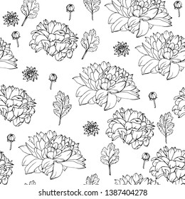 Floral seamless pattern with chrysanthemums. Black and white. Monochrome. Pattern for wedding stationary, fashion, wallpapers, greetings, background for web pages. Flower vector background.