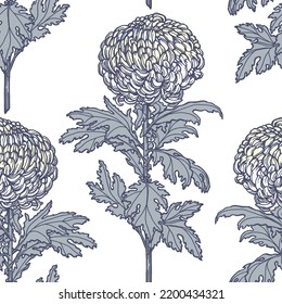 Floral seamless pattern with chrysanthemums. Hand drawn with pen and ink design. Vector tile pattern on white background.