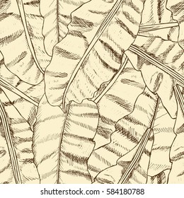 Floral seamless pattern. Collection with tropical banana leaves in sketch style. Vector illustration.