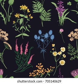 Floral seamless pattern with colorful forest herbs, herbaceous plants and blooming wild flowers on black background. Botanical vector illustration for textile print, wallpaper, wrapping paper.