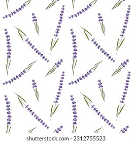 Floral seamless Pattern. Continuous Line drawn branches of Lavender. Cute summer background with hand drawn fFowers