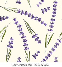 Floral seamless Pattern. Continuous Line drawn branches of Lavender. Cute summer background with hand drawn fFowers