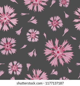 Floral seamless pattern of cornflowers.