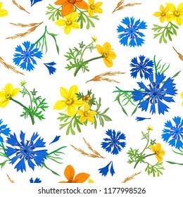 Floral seamless pattern of cornflowers.