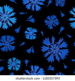 Floral seamless pattern of cornflowers.
