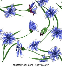 Floral seamless pattern of cornflowers.