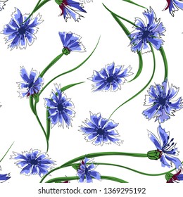 Floral seamless pattern of cornflowers.